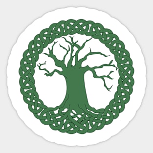 Tree of life with celtic knot border Sticker